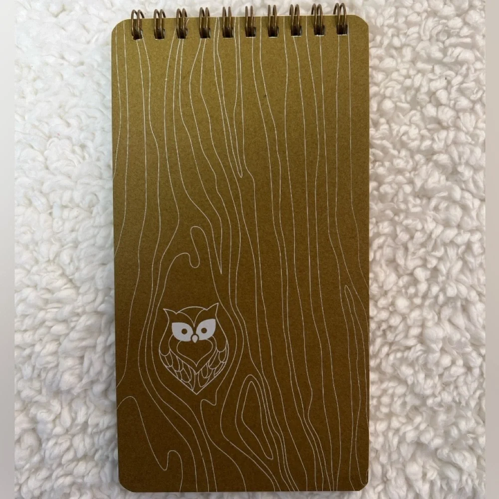 Girl of All Work Owl + Desert Notions Bank Pocket Notebooks Notepads